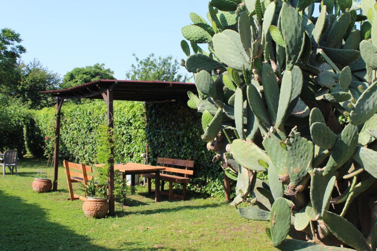 Il Giardino Degli Agrumi Caserta Exterior photo