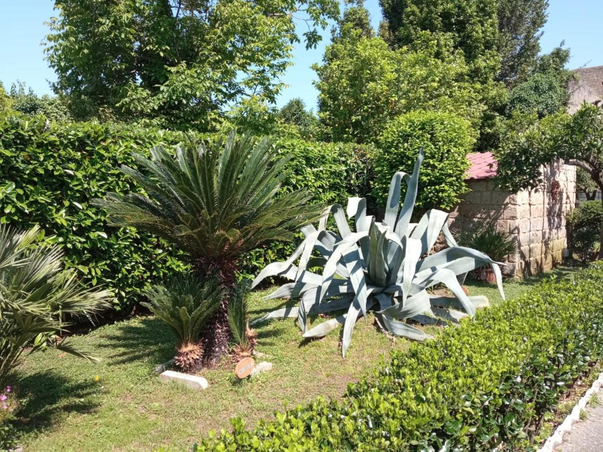 Il Giardino Degli Agrumi Caserta Exterior photo
